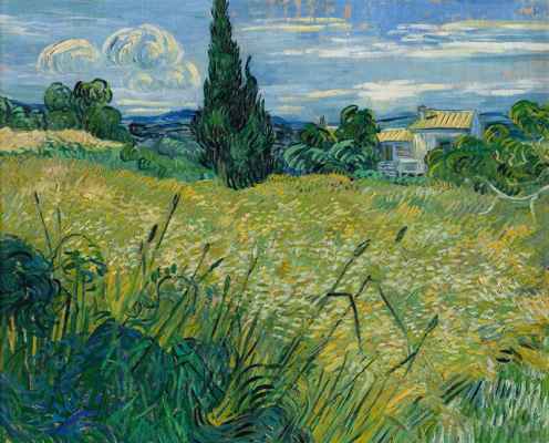 Obraz Zelené obilí vznikl v době van Goghova léčebného pobytu v Saint-Paul-de Mausole v blízkosti Saint-Rémy v červnu 1889. Námět malby zachycuje pole žloutnoucí pšenice na pozadí vzdálených pohoří Alpilles, menší stavení a vysoký tmavý cypřiš, který kompozičně dominuje obrazu. Na rozdíl od jiných jeho pozdních děl působí obraz vyrovnaně a klidně. Nicméně charakteristický van Goghův pastózní a reliéfní rukopis zůstal uchován.
Malíř namaloval obraz rok před svou smrtí, než se revolverem střelil do břicha. Obraz Zelené obilí je jedním z posledních děl Vincenta van Gogha, geniálního umělce trpícího bludy a šílenstvím.
