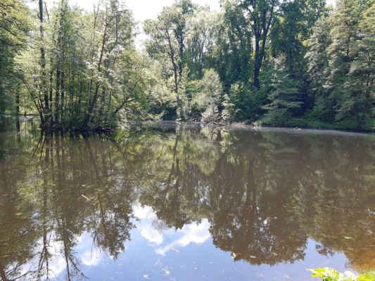 Rybník U Kamenného stolu pochází ze začátku 19. století - jde o průtoční lesní rybník ležící na přítoku Vinořského potoka.