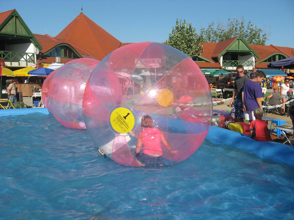 Balaton 2010 – gratuity – album