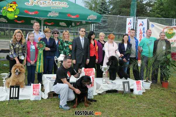 Emil at NDS Kostolac (RS) 7.5.2016
#2 BEST IN SHOW!!!!!