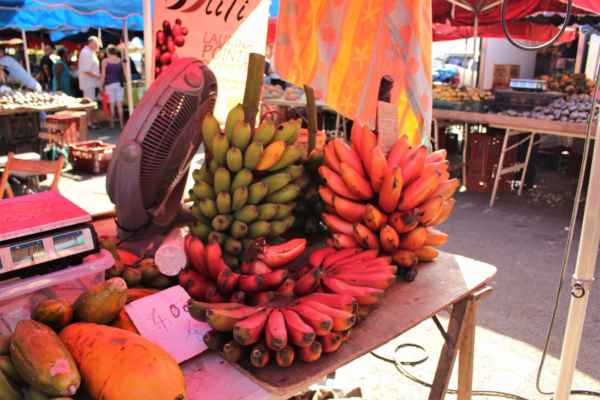banány - odrůda extra velká