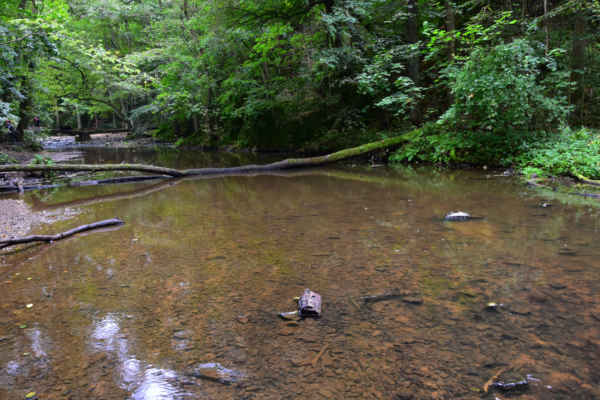 Pátý den - Křivoklátskými lesy na Křivoklát - Dolní leží o několik metrů níže mezi stromy. Jezírka, vodopád, potok a okolí je chráněno v rámci přírodní rezervace.