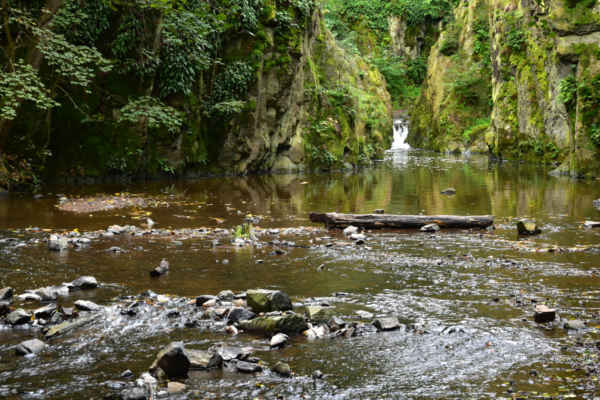 Pátý den - Křivoklátskými lesy na Křivoklát - Jezírky protéká Zbirožský potok, který je přítokem Berounky. Horní jezírko leží těsně pod Skryjským vodopádem, zčásti je sevřeno mezi skalami a zčásti je k němu přístup otevřený.