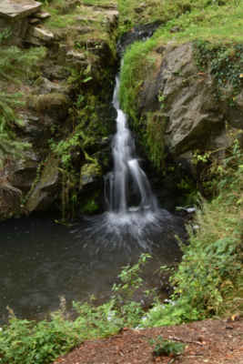 Pohoda v průhonickém parku a Ladovy Hrusice - Malý vodopád na potoce Botič v průhonickém parku. Botič dál teče přes Hostivař, Záběhlice, MIchle a pod Vyšehradem se vlévá do Vltavy.