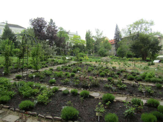 Botanická zahrada v Táboře byla založena v roce 1866 a je to druhá nejstarší botanická zahrada u nás. V prvním roce založení měla výměru 3626 m2 a obsahovala sbírky hospodářských a hospodářsko - průmyslových rostlin. Zahrada byla úzce spjata s potřebami nejvyšší zemědělské školy. V roce 1900 se její výměra zvětšila na 4,56 ha. V roce 2000 byla zahrada spolu s budovou školy vyhlášena kulturní památkou. Od roku 2002 prochází botanická zahrada obnovou a rekonstrukcí. Cílem zahrady pěstování léčivých rostlin pro pedagogické a výzkumné účely. Zabývá se i sběrem semen pro mezinárodní výměnu.