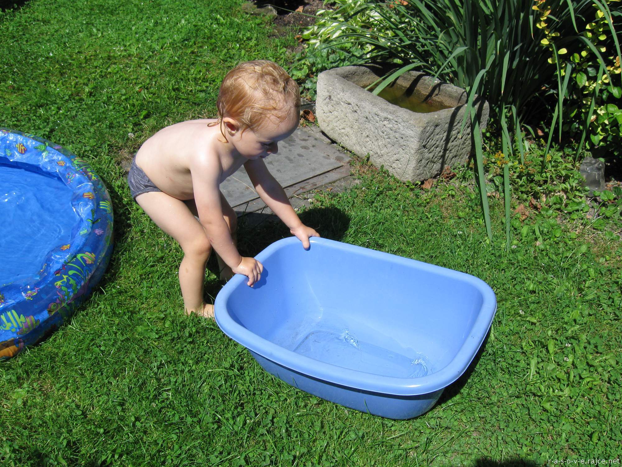 rajce.idnes.cz backyard 25