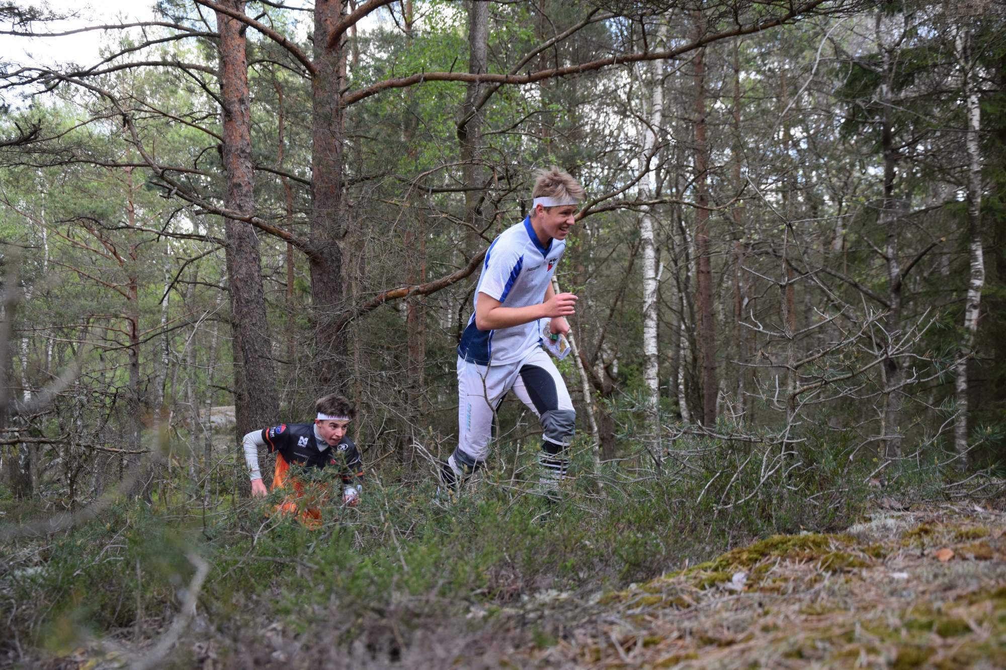 hromaďák hromaďák