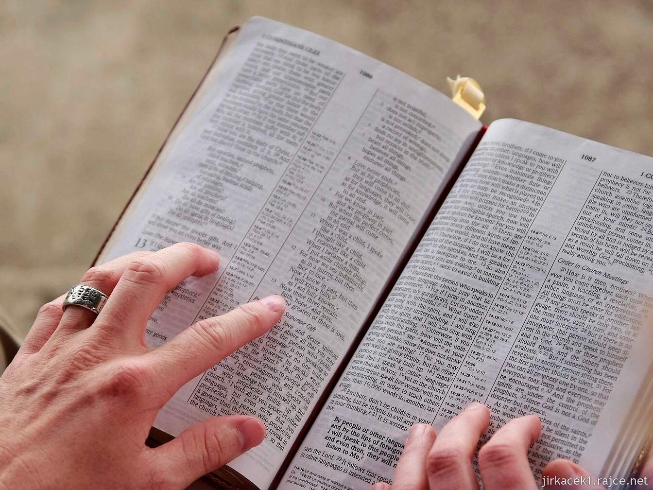 Pozořice - kostel Nanebevzetí Panny Marie 24