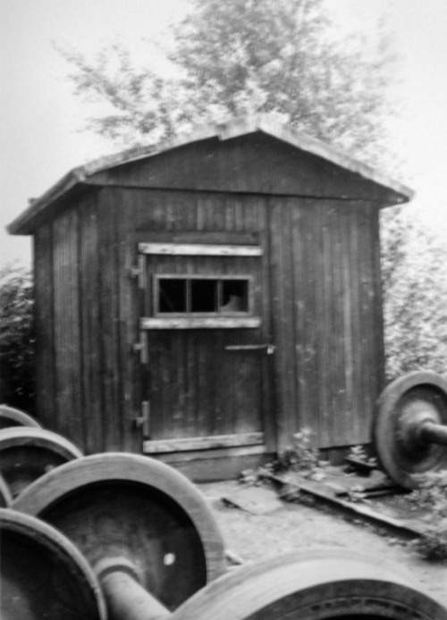 Obrázek