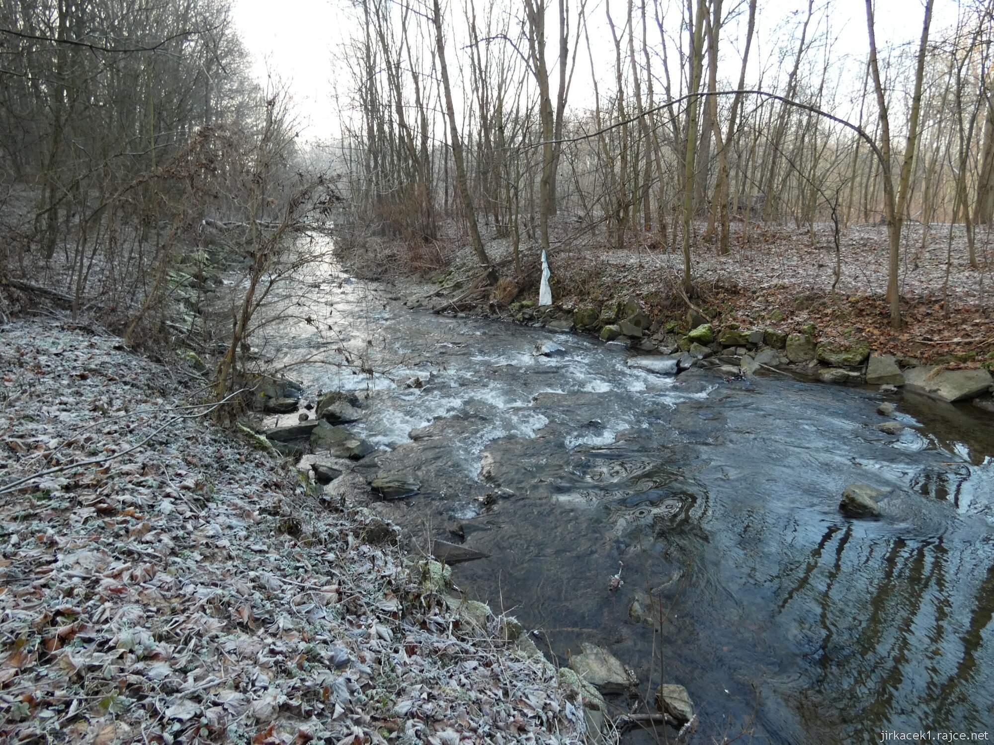 Choryně - naučná stezka Choryňská stráž 22 - cesta mezi 7. a 6. zastavením - Bílá paní na břehu potoka Juhyně