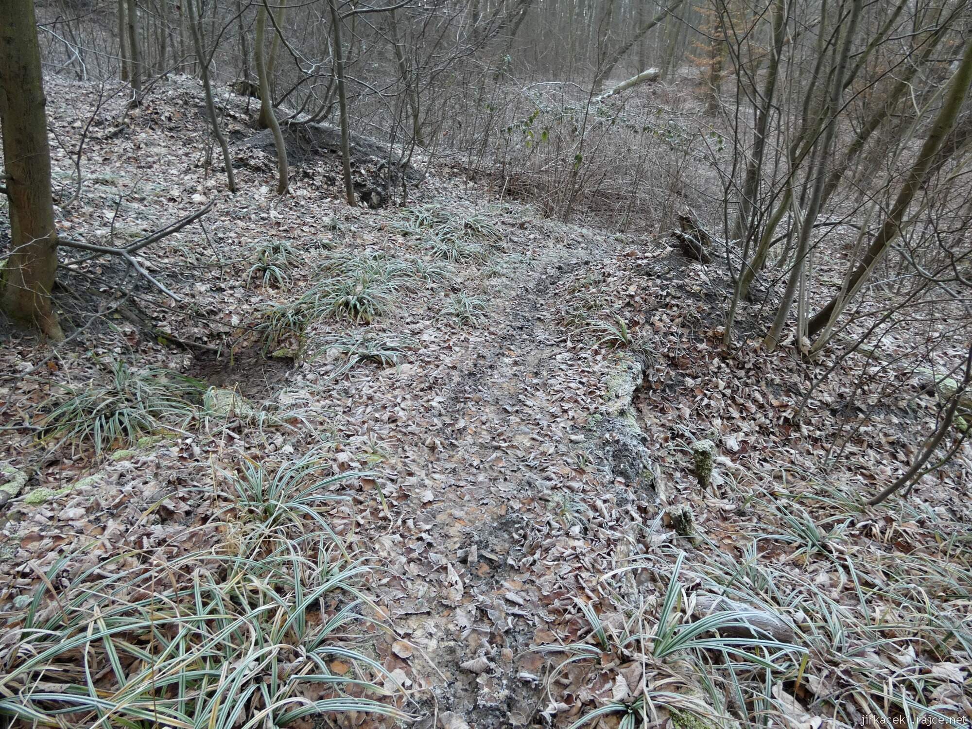 Choryně - naučná stezka Choryňská stráž 49 - cesta mezi 6. a 5. zastavením - stezka lesem pryč od řeky