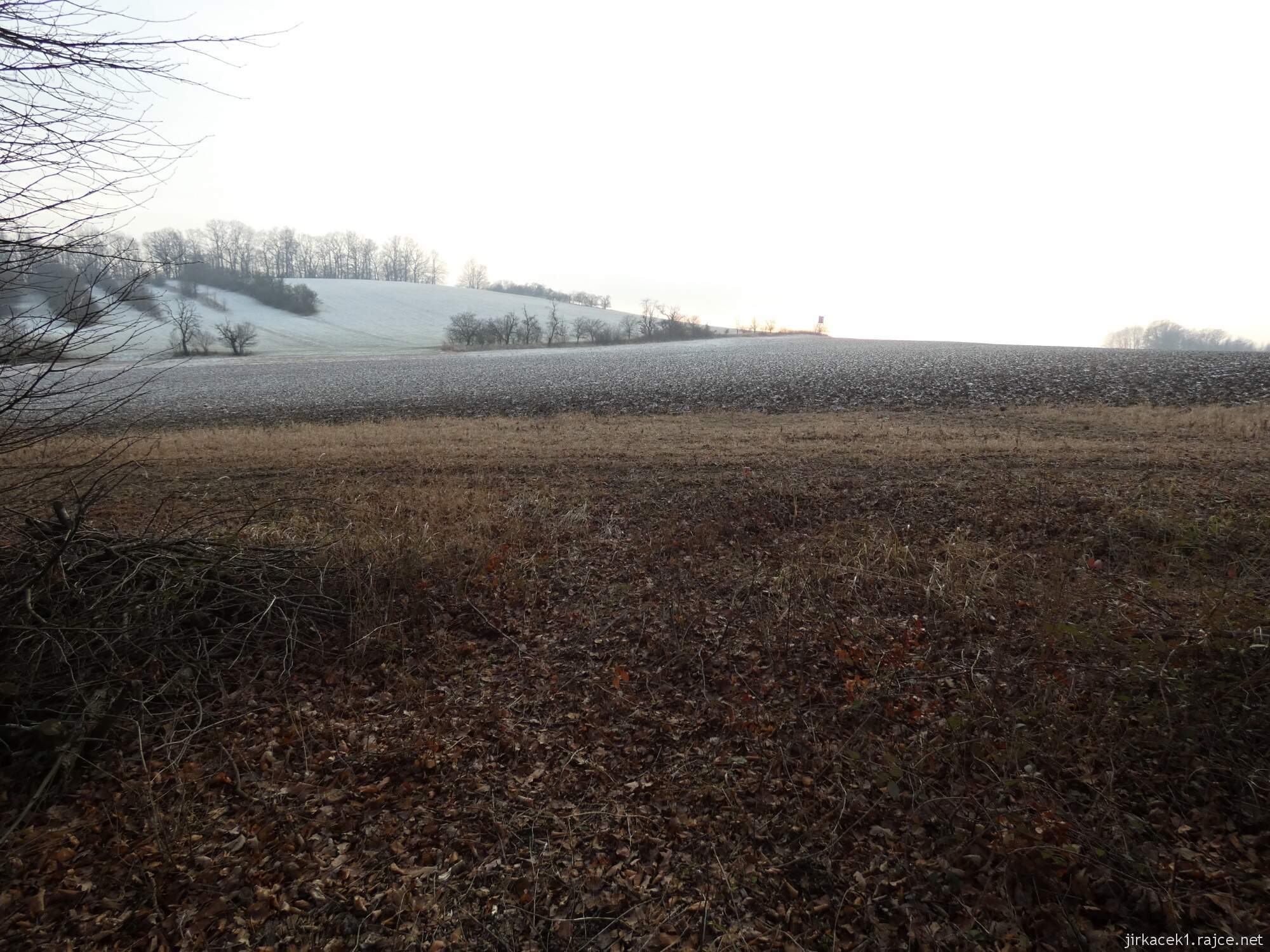 Choryně - naučná stezka Choryňská stráž 74 - cesta mezi 5. a 4. zastavením - na vrcholu stoupání výhled na kopec Choryňská stráž kde vládl Mrazík