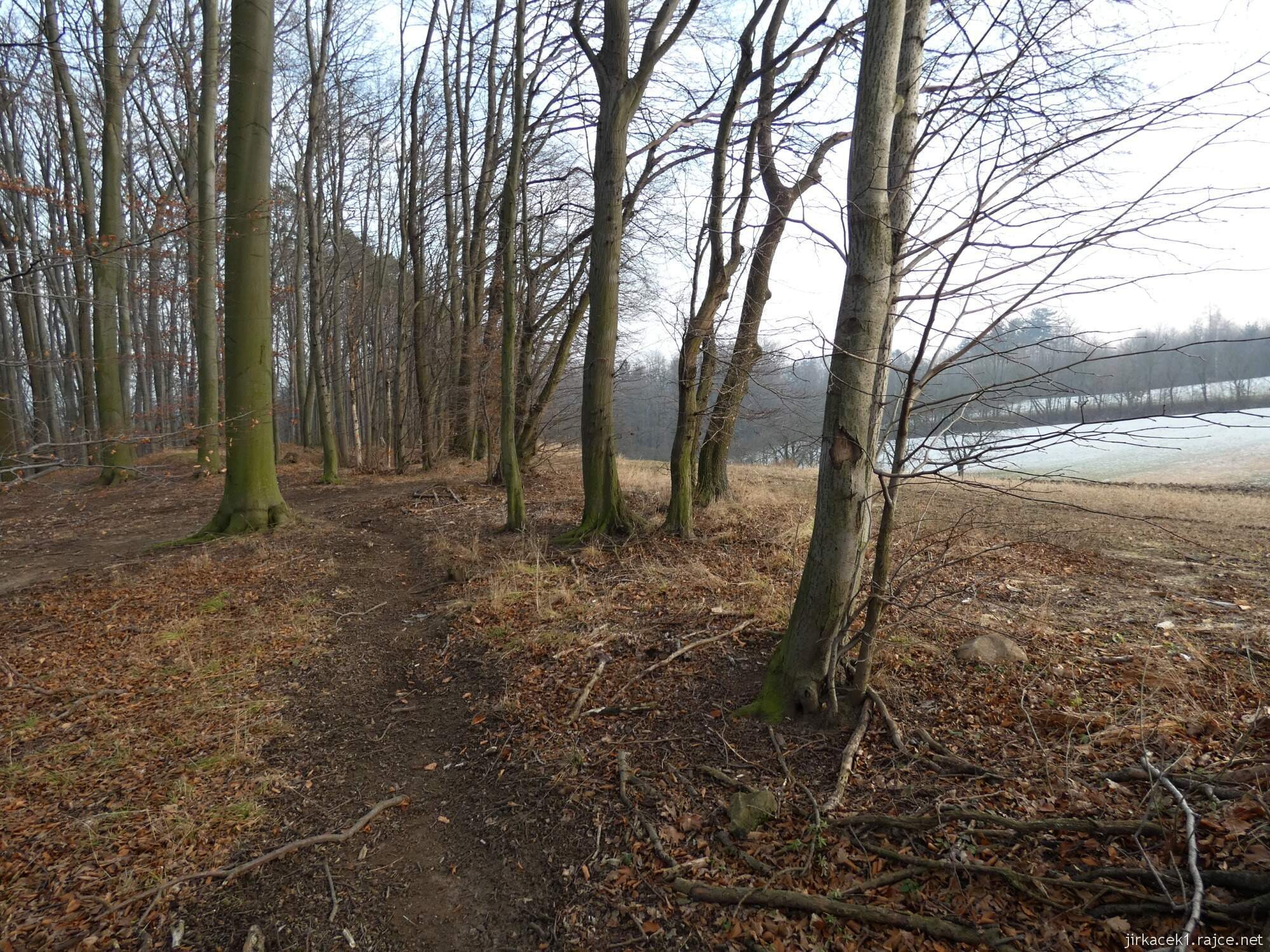 Choryně - naučná stezka Choryňská stráž 76 - cesta mezi 5. a 4. zastavením - na vrcholu stoupání - vlevo území baby jagy, vpravo mrazíka