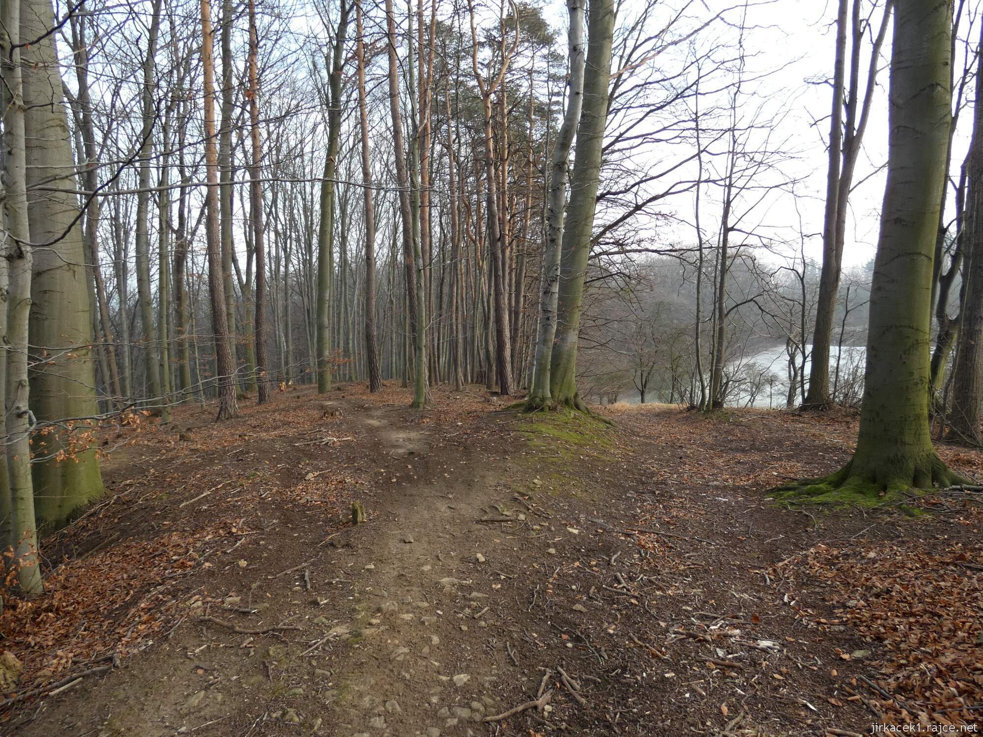 Choryně - naučná stezka Choryňská stráž 77 - cesta mezi 5. a 4. zastavením - na vrcholu stoupání - vlevo území baby jagy, vpravo mrazíka
