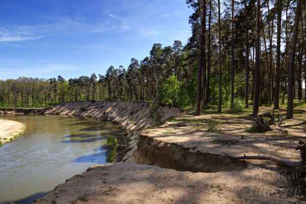 Jde o vyvinuté meandry části řeky Moravy vzniklé jejím přirozeným vývojem v sedimentech údolní nivy.